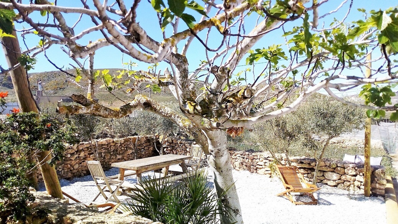 Photo of Outdoor in Fernan Perez