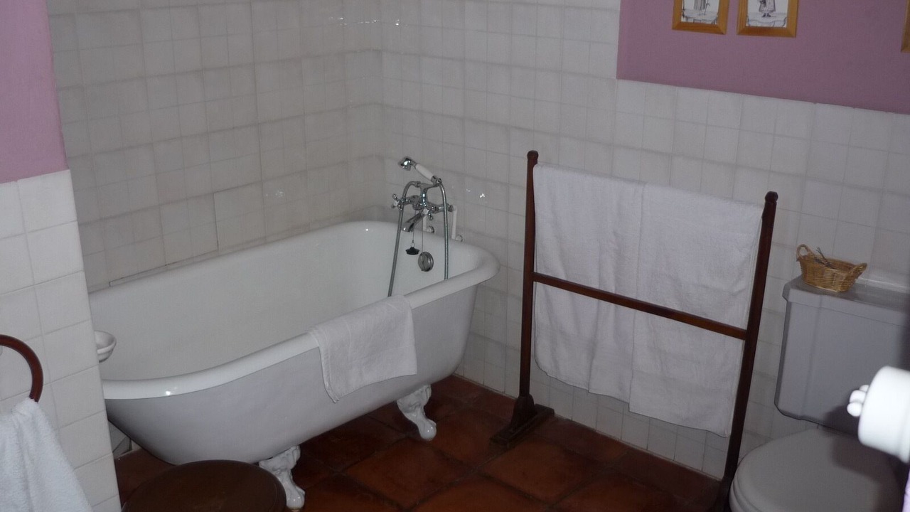 Photo of Bathroom in Pinofranqueado