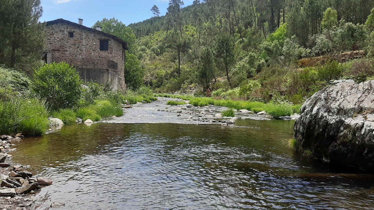 Photo of Others in Pinofranqueado