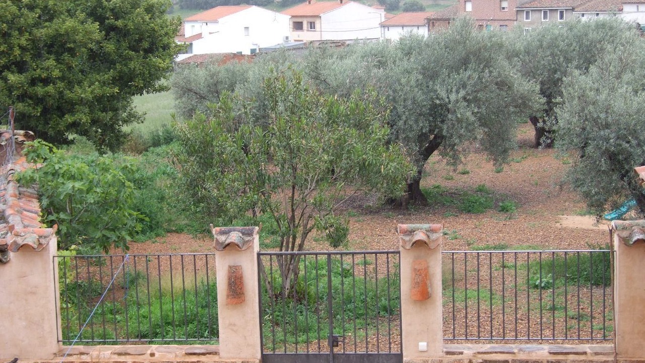 Photo of Outdoor in Navalpino