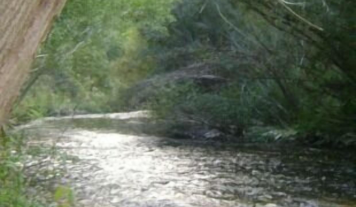Photo of Outdoor in Miguelanez