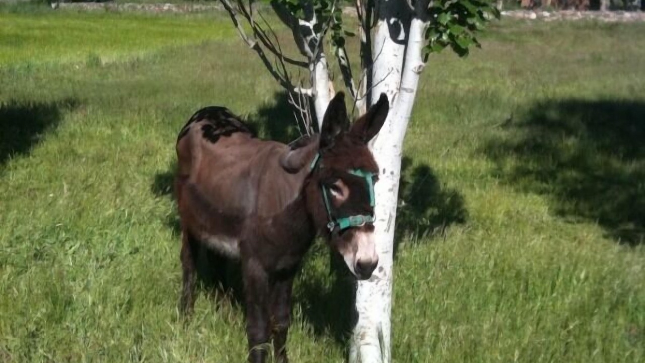 Photo of Outdoor in Miguelanez
