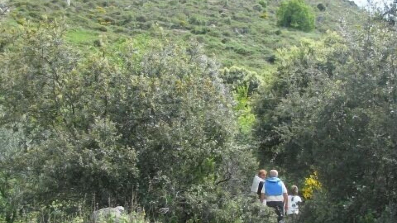 Photo of Outdoor in Santa Cruz de la Sierra