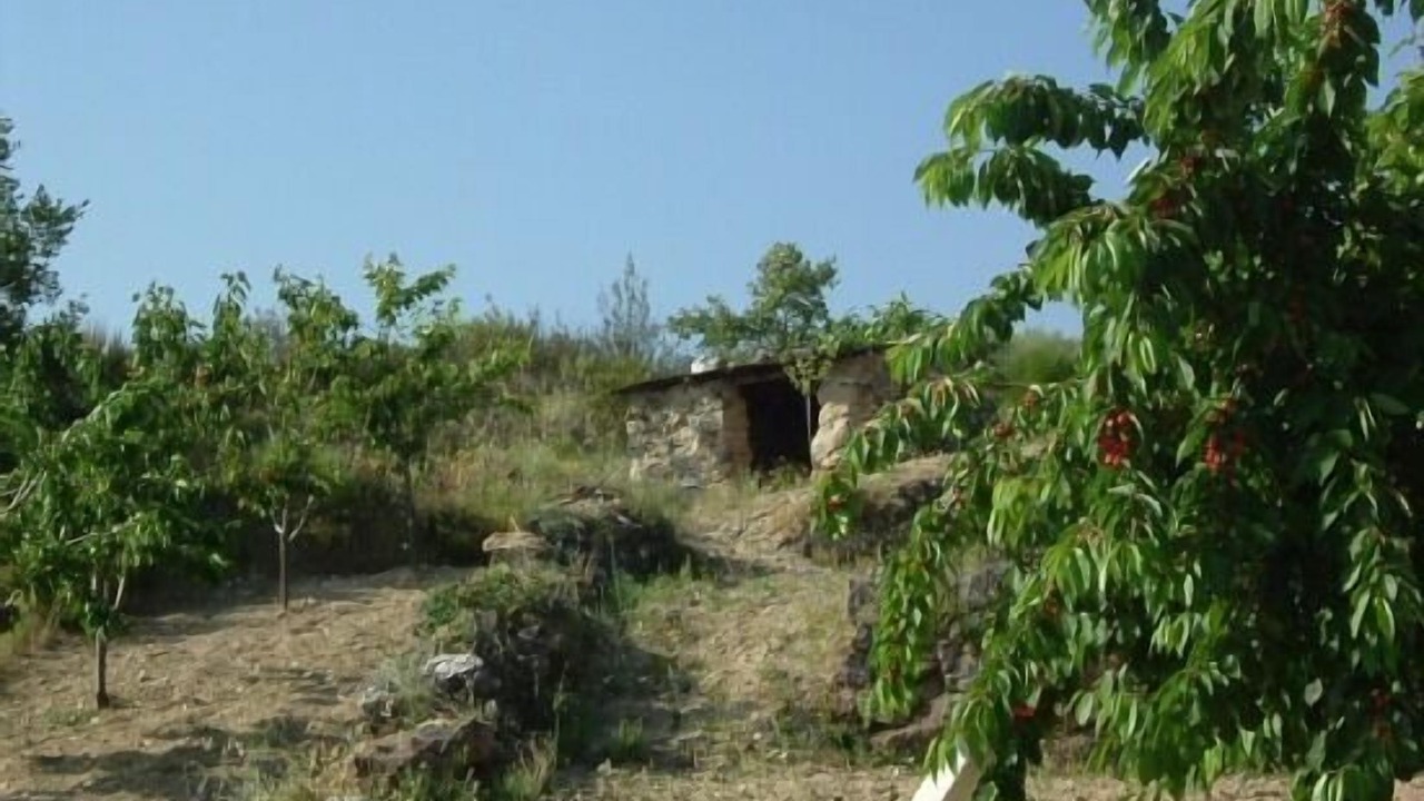 Photo of Outdoor in Santibanez de la Sierra