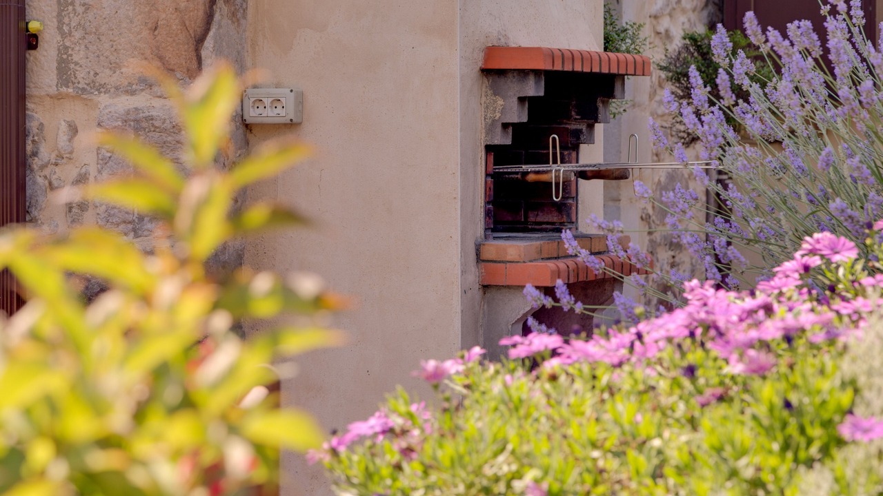 Photo of Outdoor in Liendo