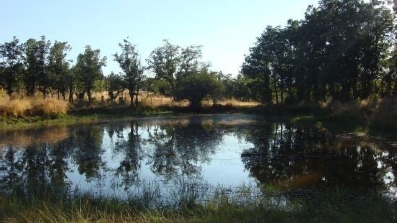 Photo of Outdoor in Turrubuelo