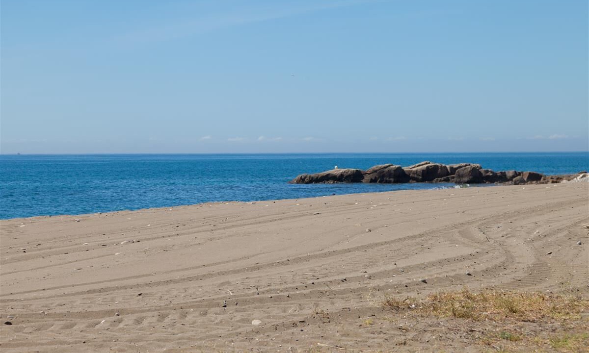 Photo of Others in Bahia Dorada