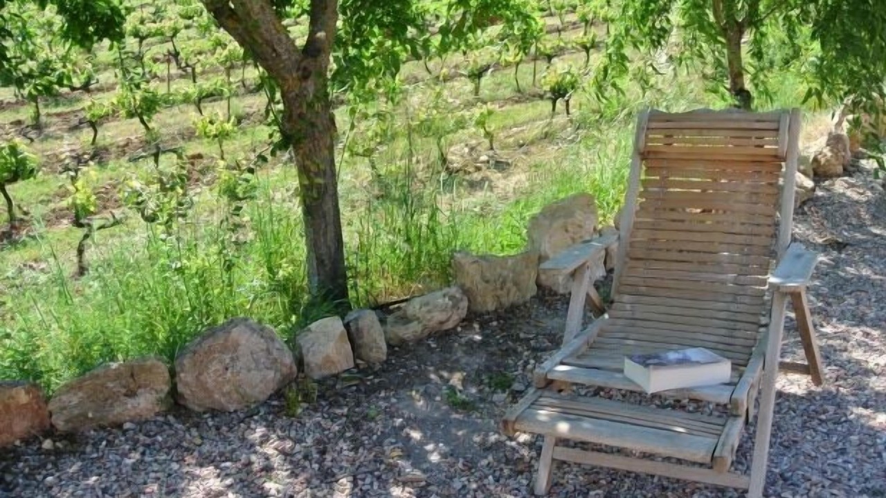 Photo of Outdoor in Pontons