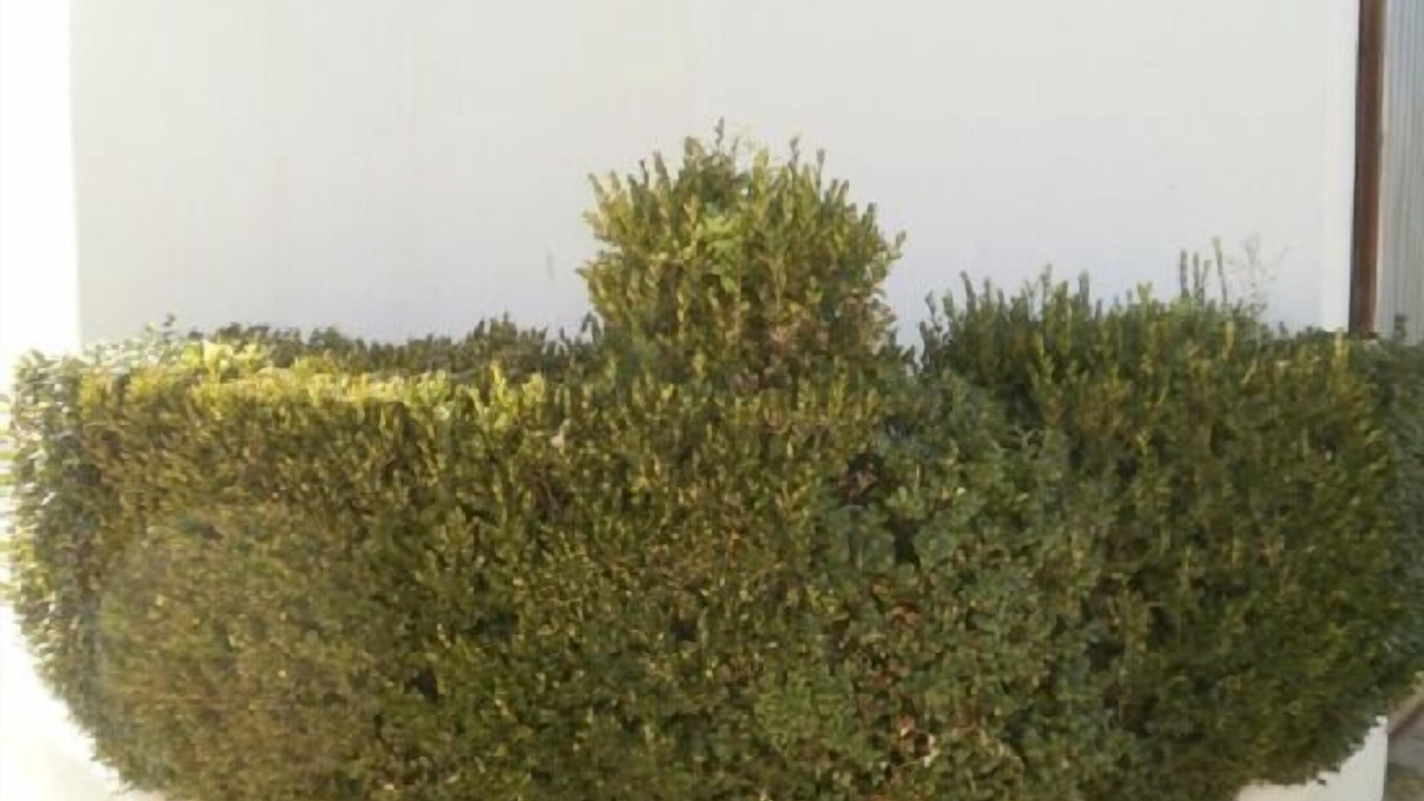 Photo of Outdoor in Pereruela