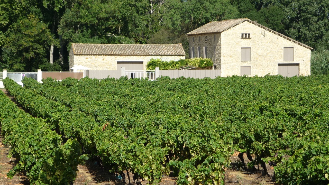 Photo of Outdoor in La Roque-sur-Ceze