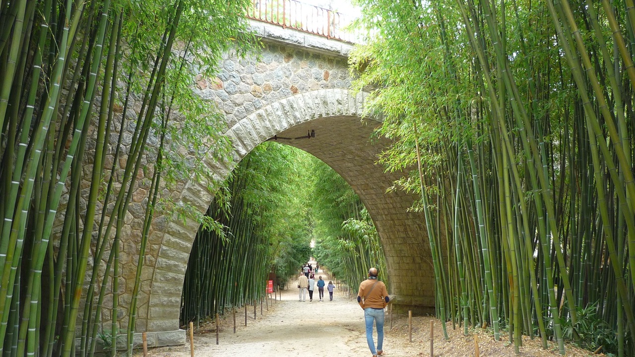 Photo of Outdoor in La Roque-sur-Ceze