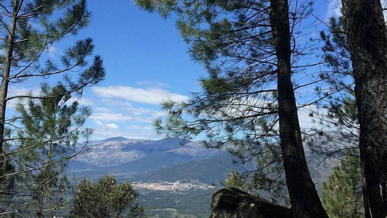 Photo of Others in Piedralaves