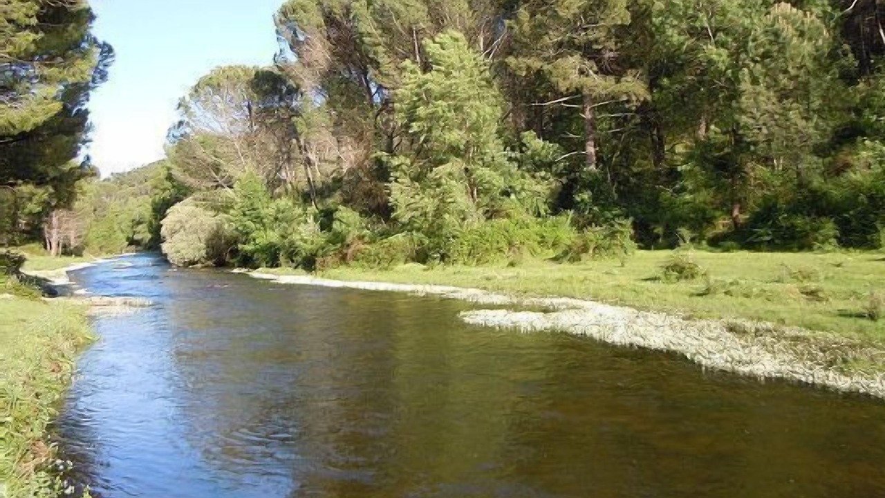 Photo of Others in Piedralaves