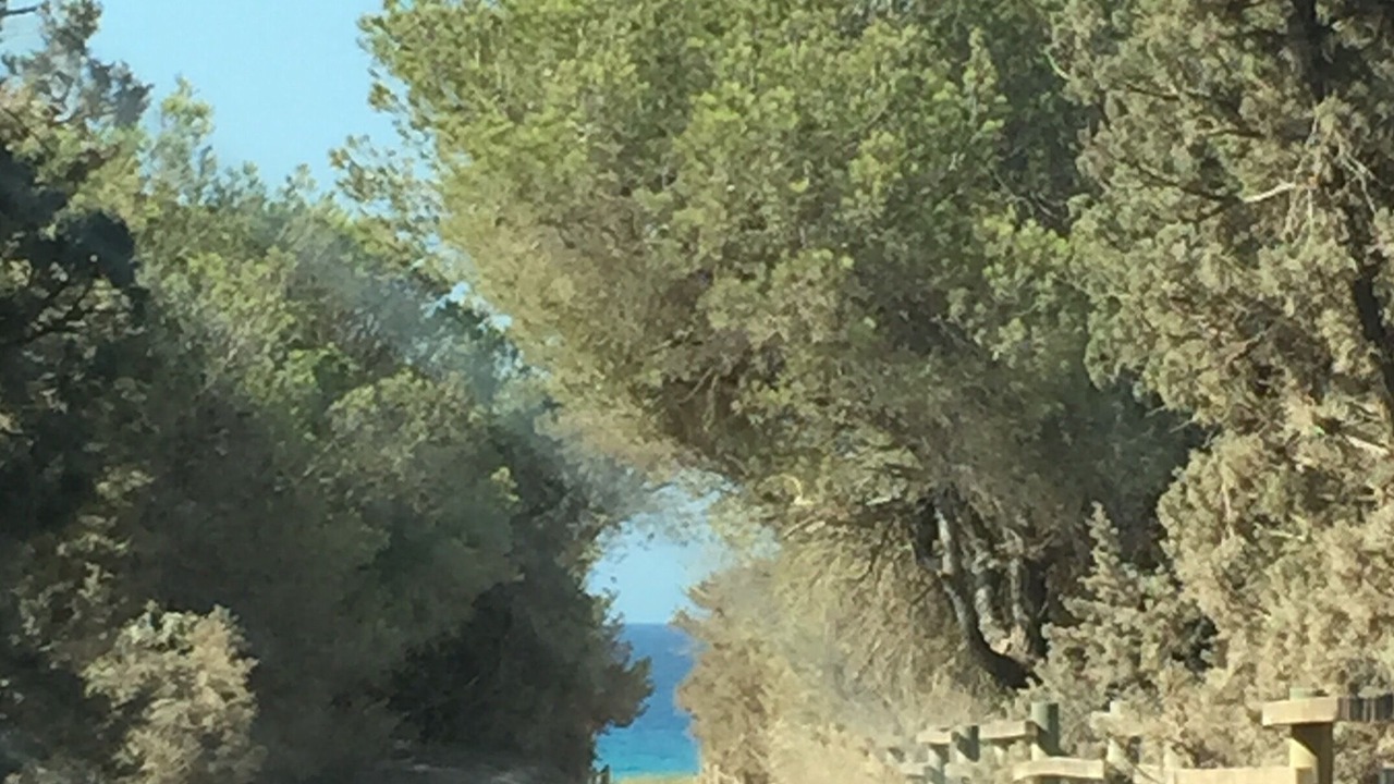 Photo of Others in Calo de Sant Agusti