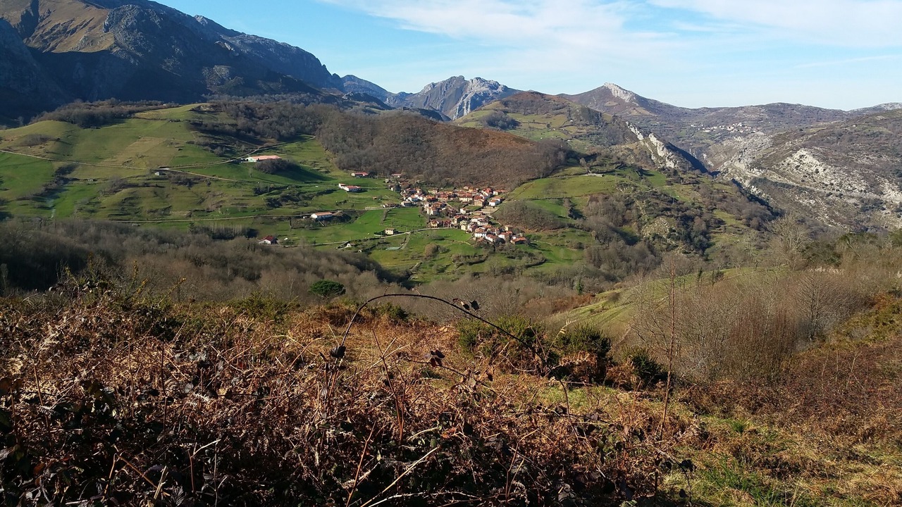Photo of Others in Inguanzo