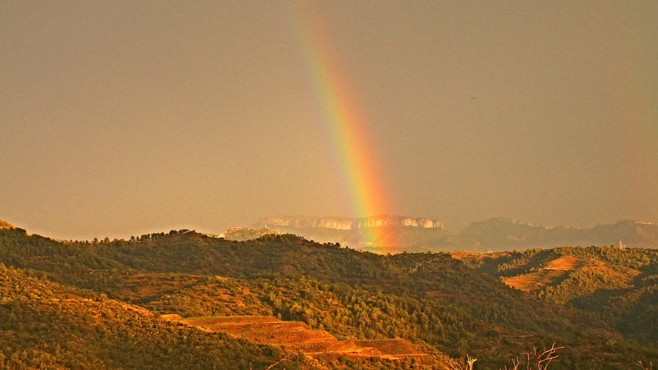 Photo of Outdoor in Torroja del Priorat