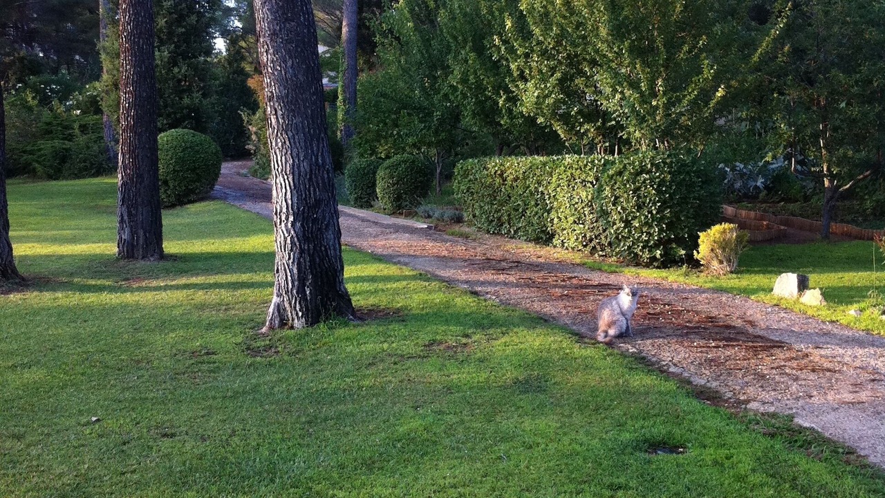 Photo of Outdoor in Chateauneuf-le-Rouge