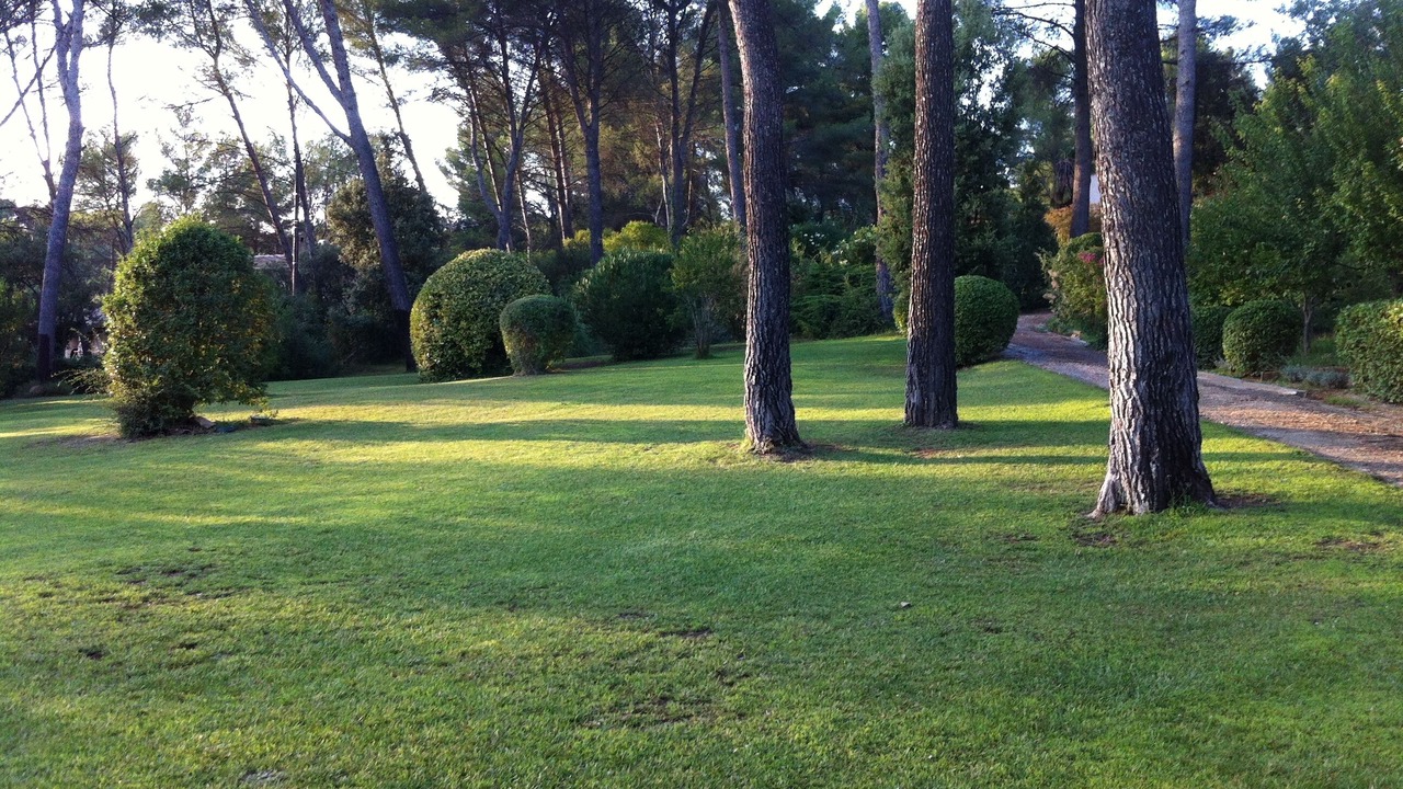 Photo of Outdoor in Chateauneuf-le-Rouge