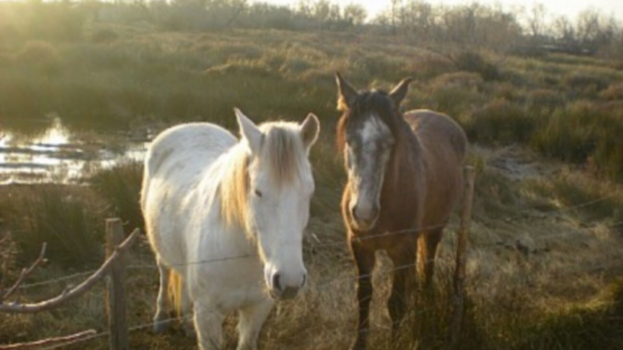 Photo of Outdoor in Mont Duplan