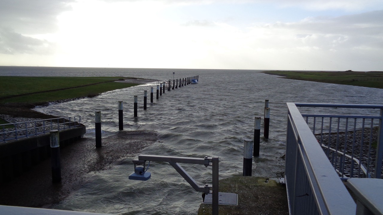 Photo of Others in Friedrichskoog