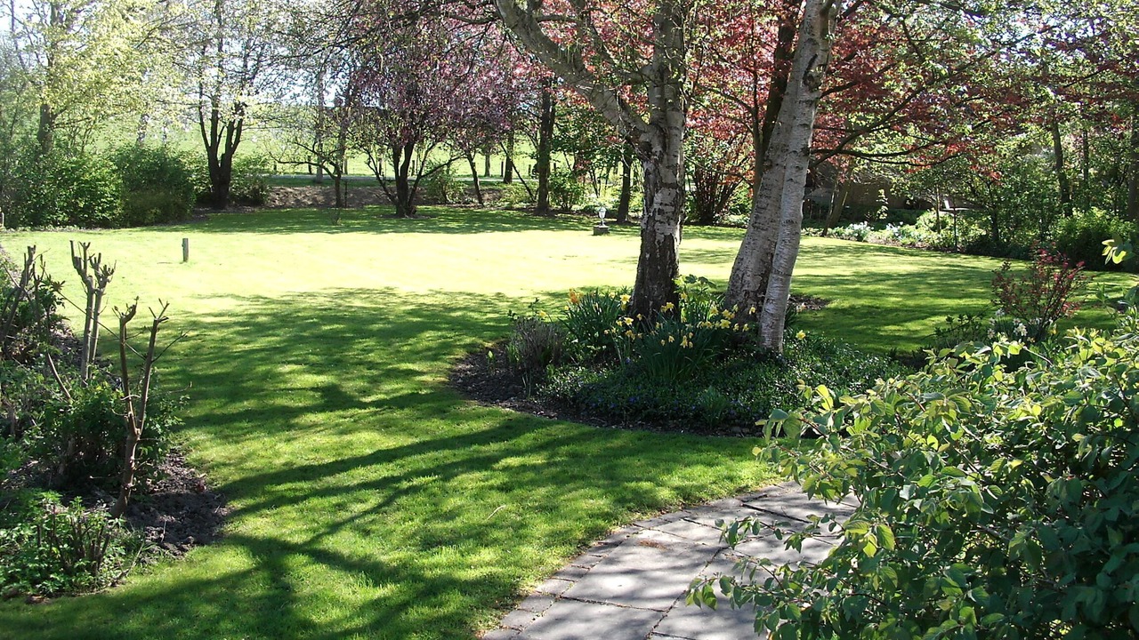 Photo of Outdoor in Friedrichskoog