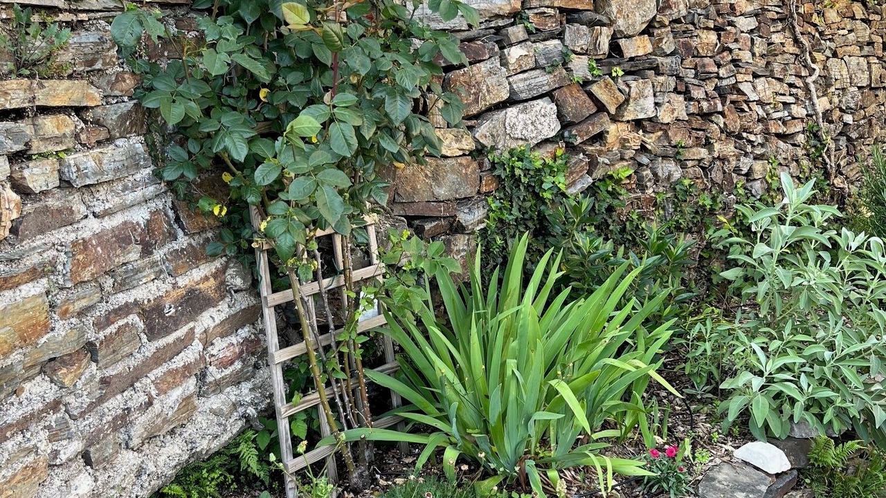 Photo of Outdoor in Pommiers