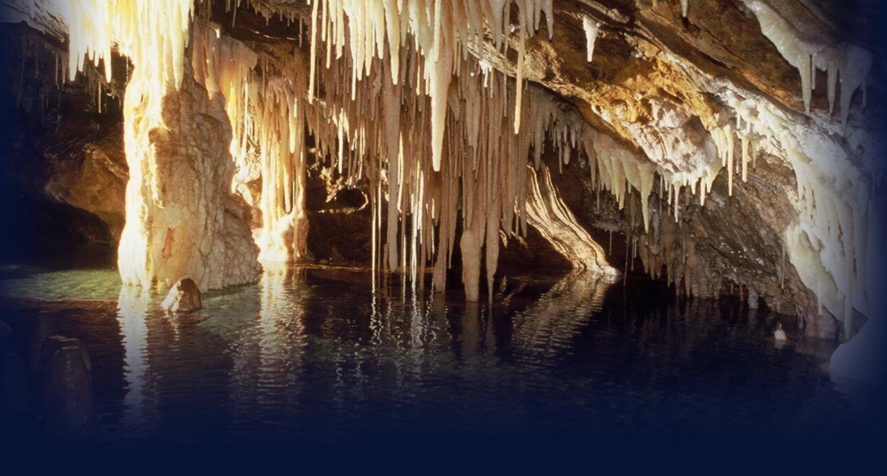 Photo of Others in Begole