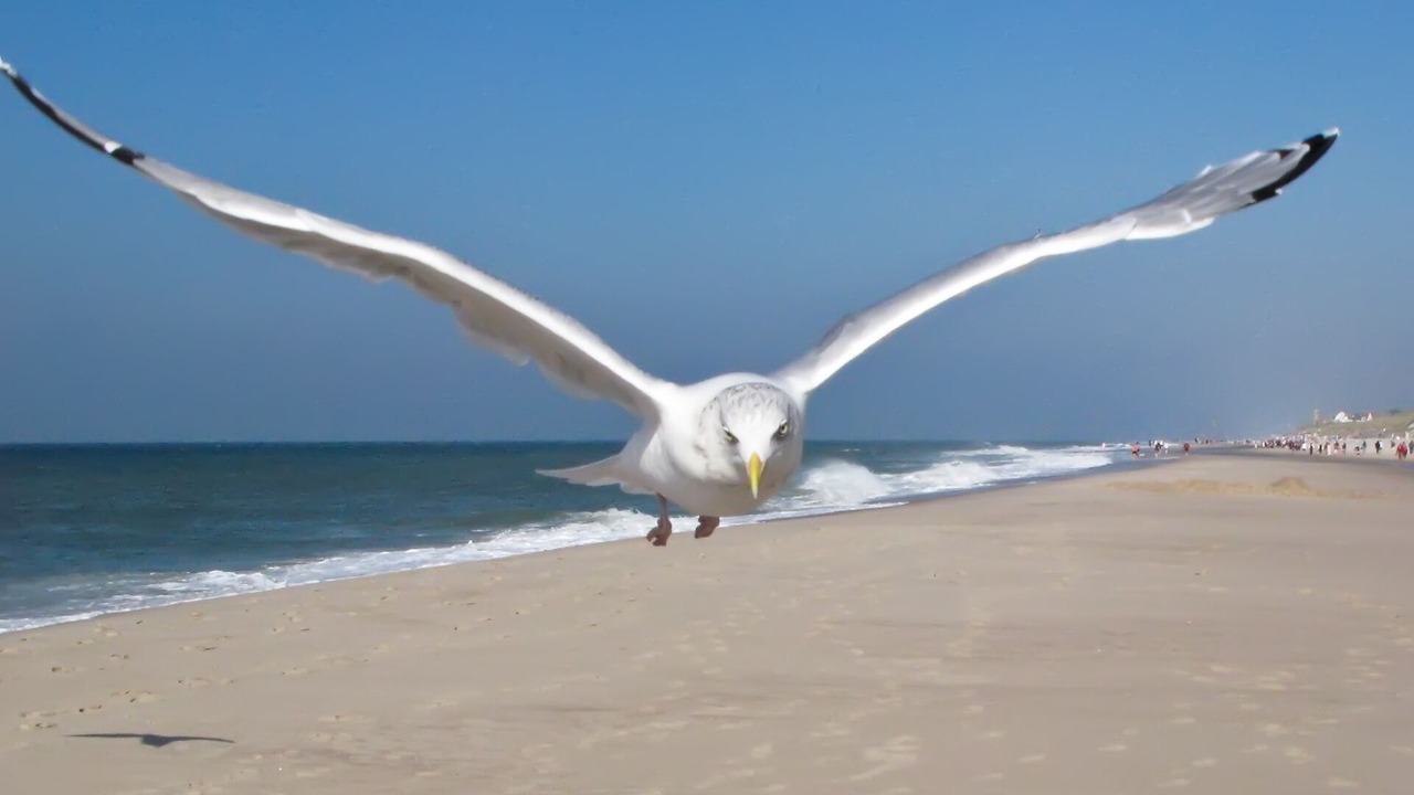 Photo of Others in Laboe