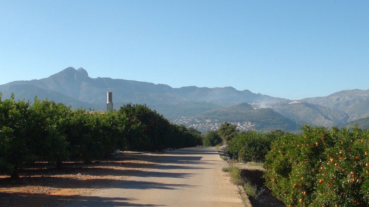 Photo of Others in Orba