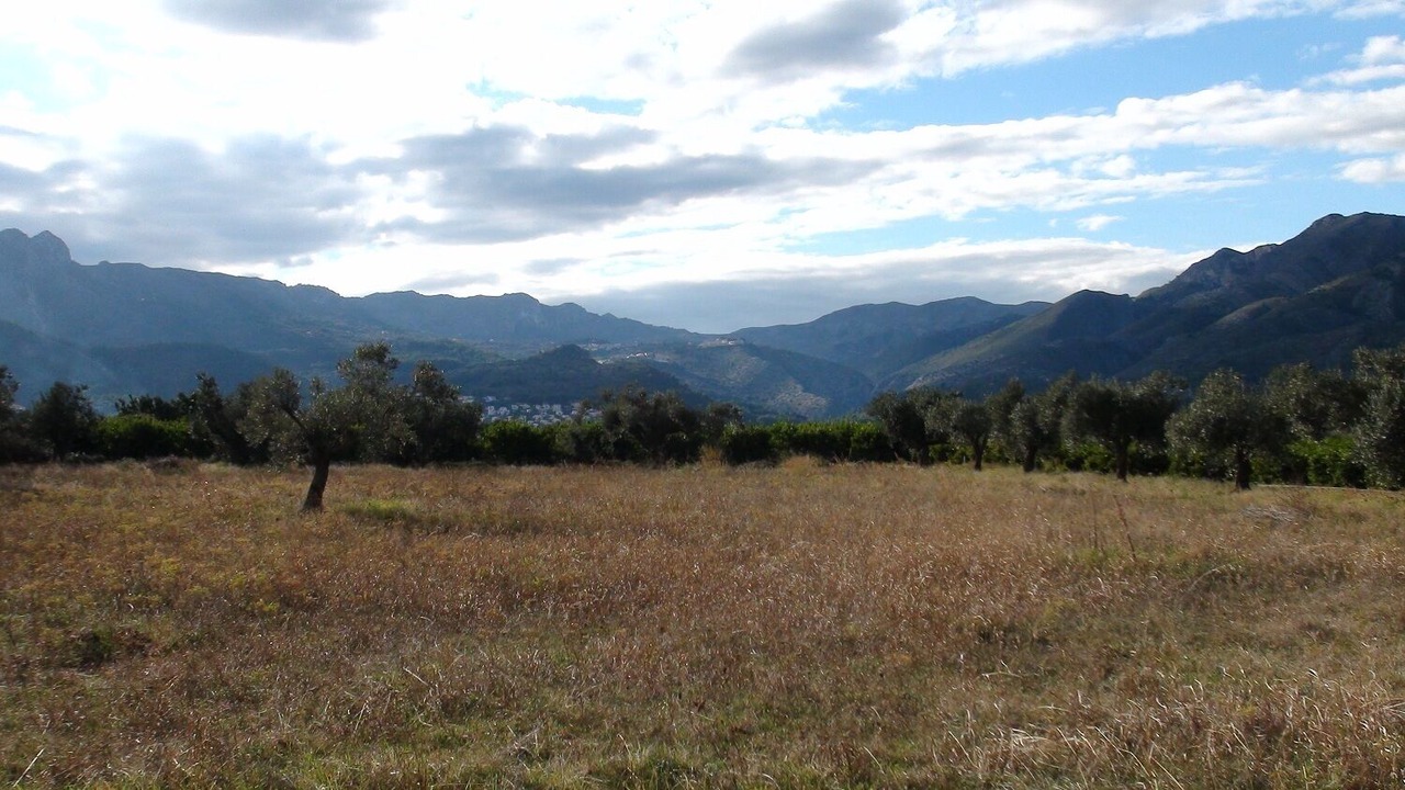 Photo of Others in Orba