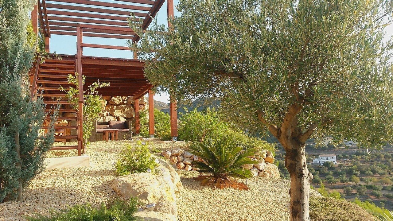 Photo of Others in Orba