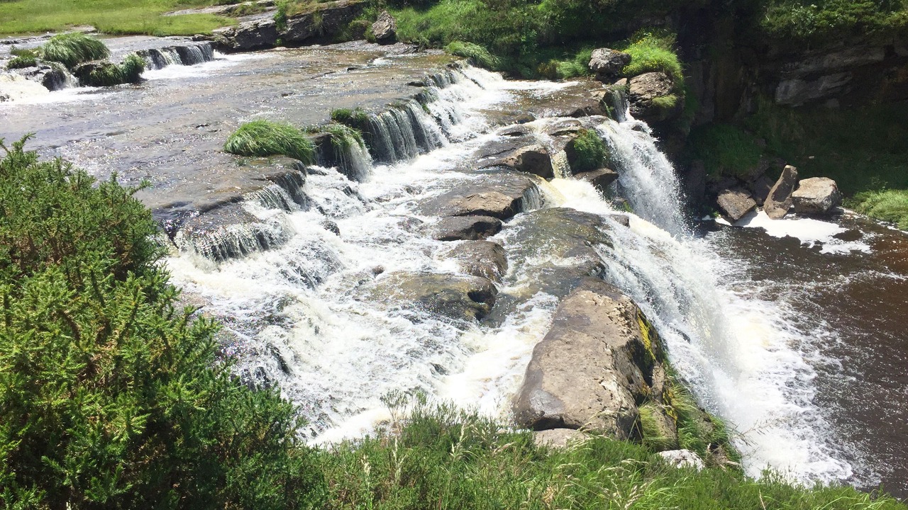 Photo of Outdoor in Espinosa de los Monteros