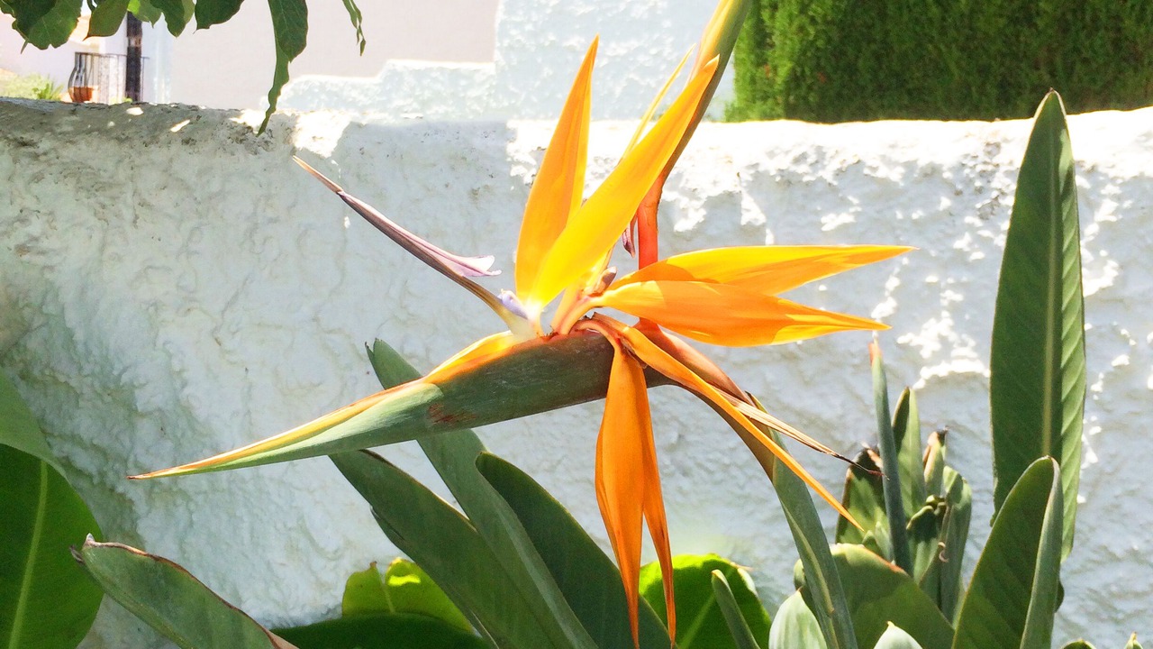 Photo of Outdoor in Nerja