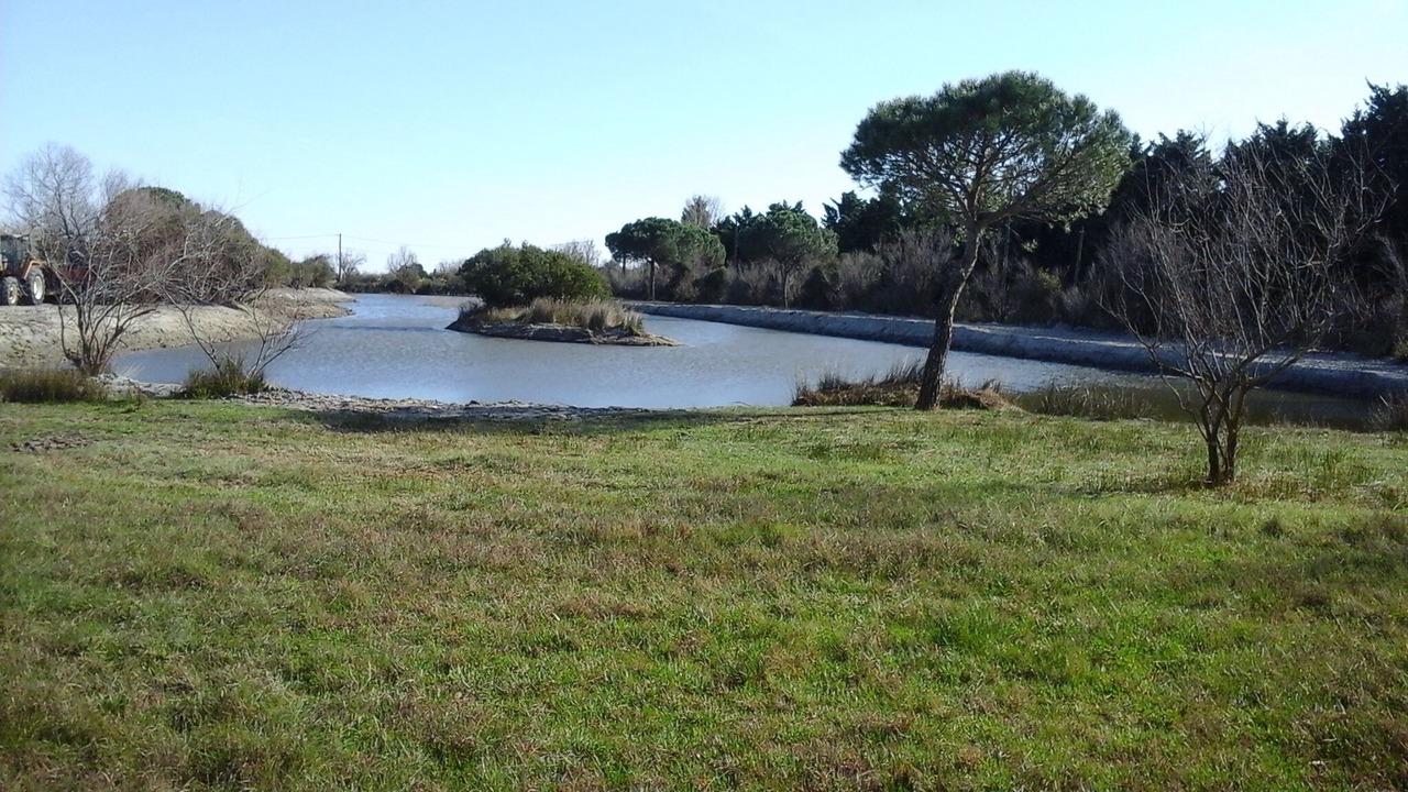 Photo of Outdoor in Saint-Laurent-d'Aigouze