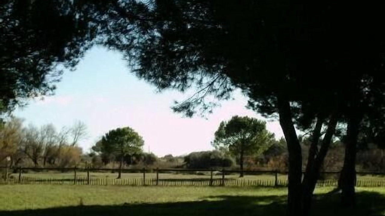 Photo of Outdoor in Saint-Laurent-d'Aigouze