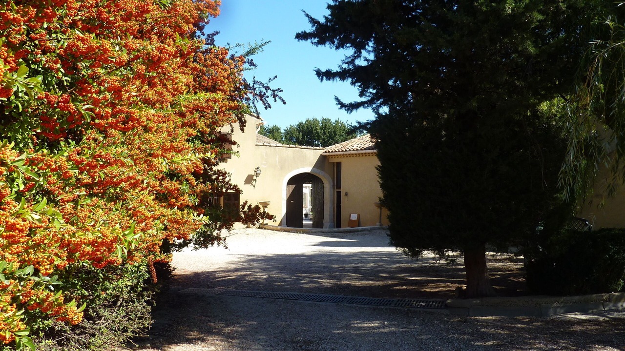 Photo of Outdoor in Maubec