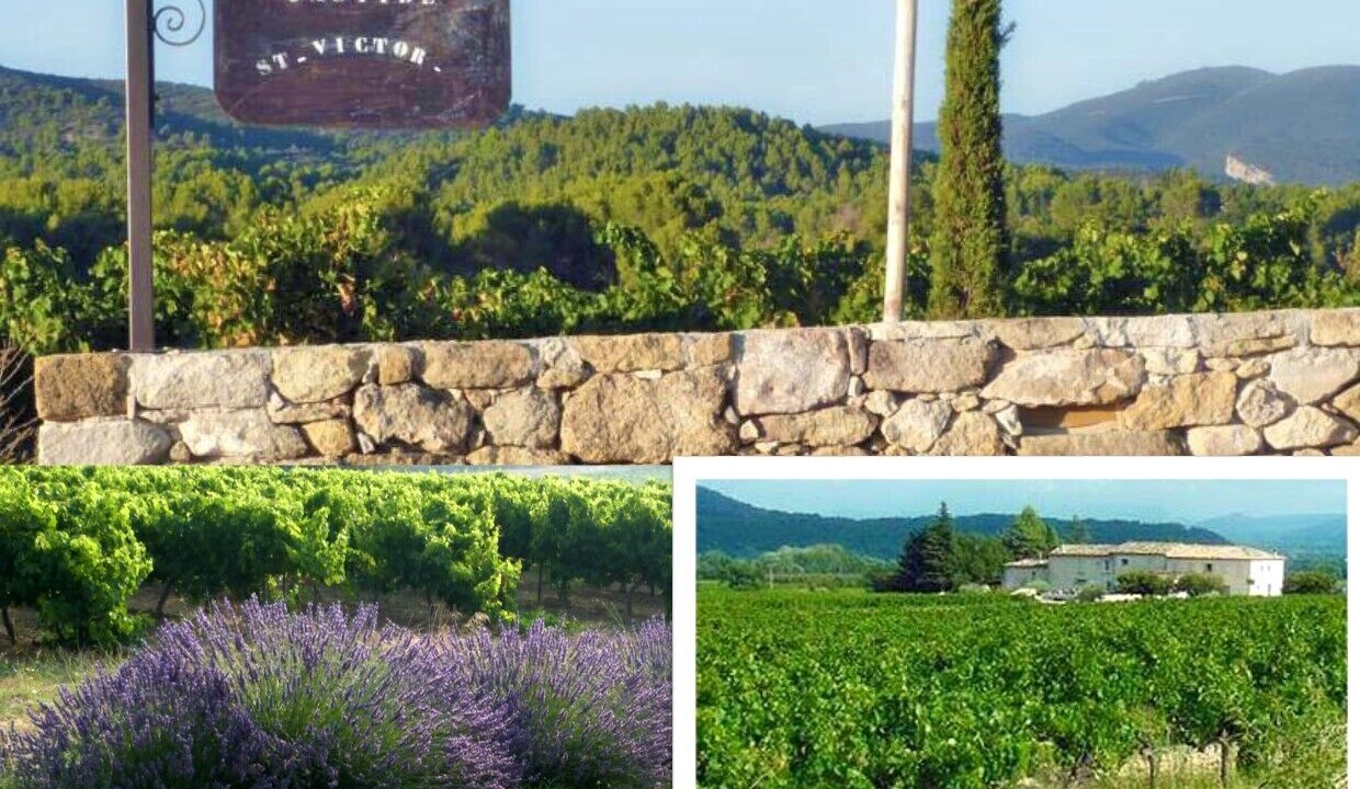 Photo of Outdoor in Puyvert