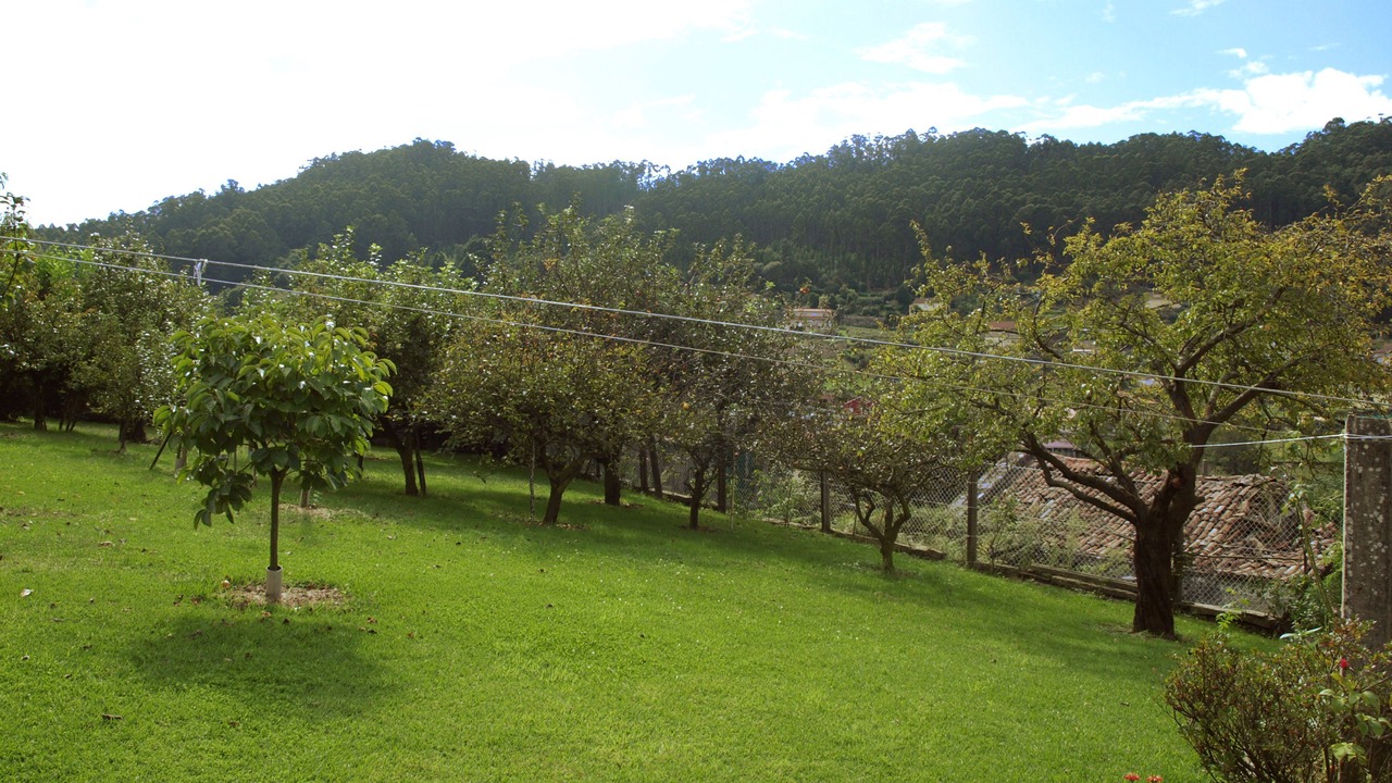Photo of Outdoor in Bueu