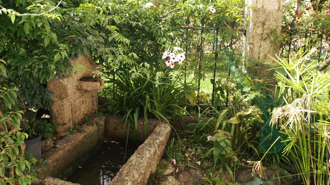 Photo of Outdoor in Bueu