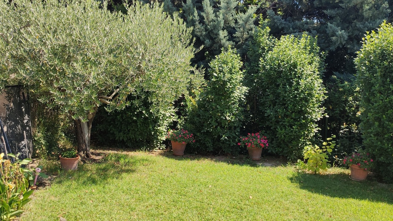Photo of Outdoor in Maillane
