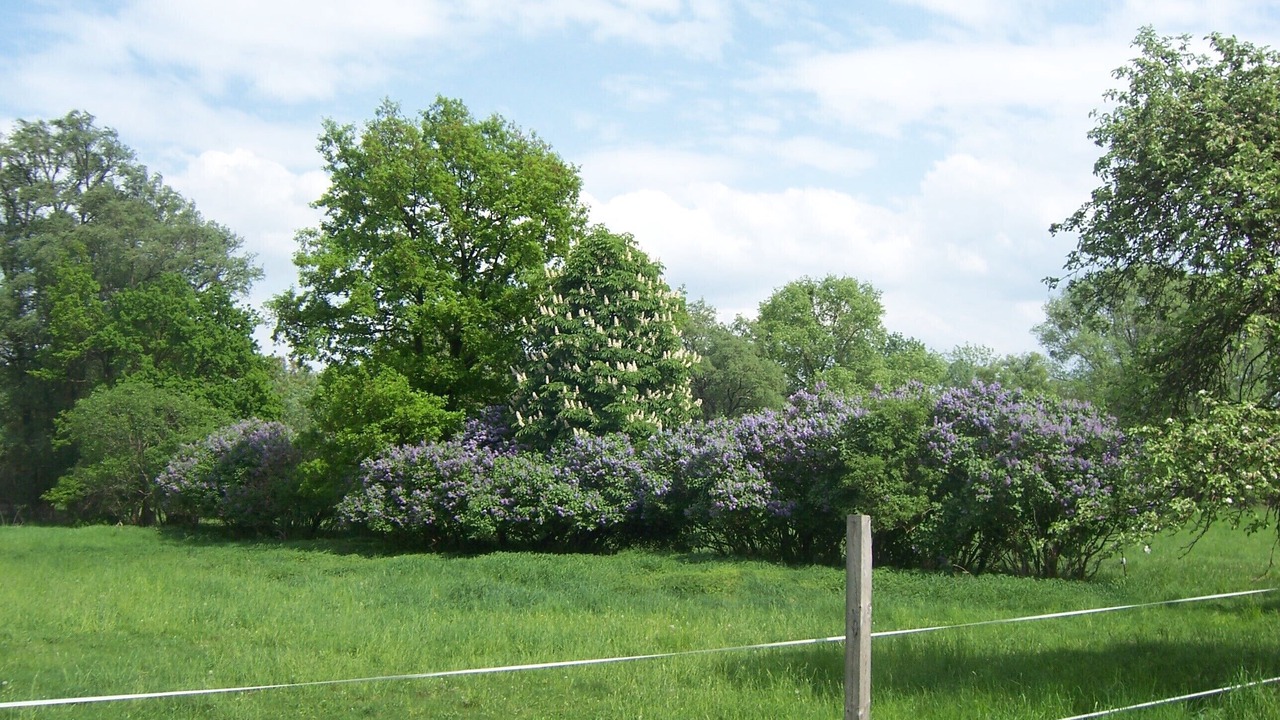 Photo of Outdoor in Wustrau
