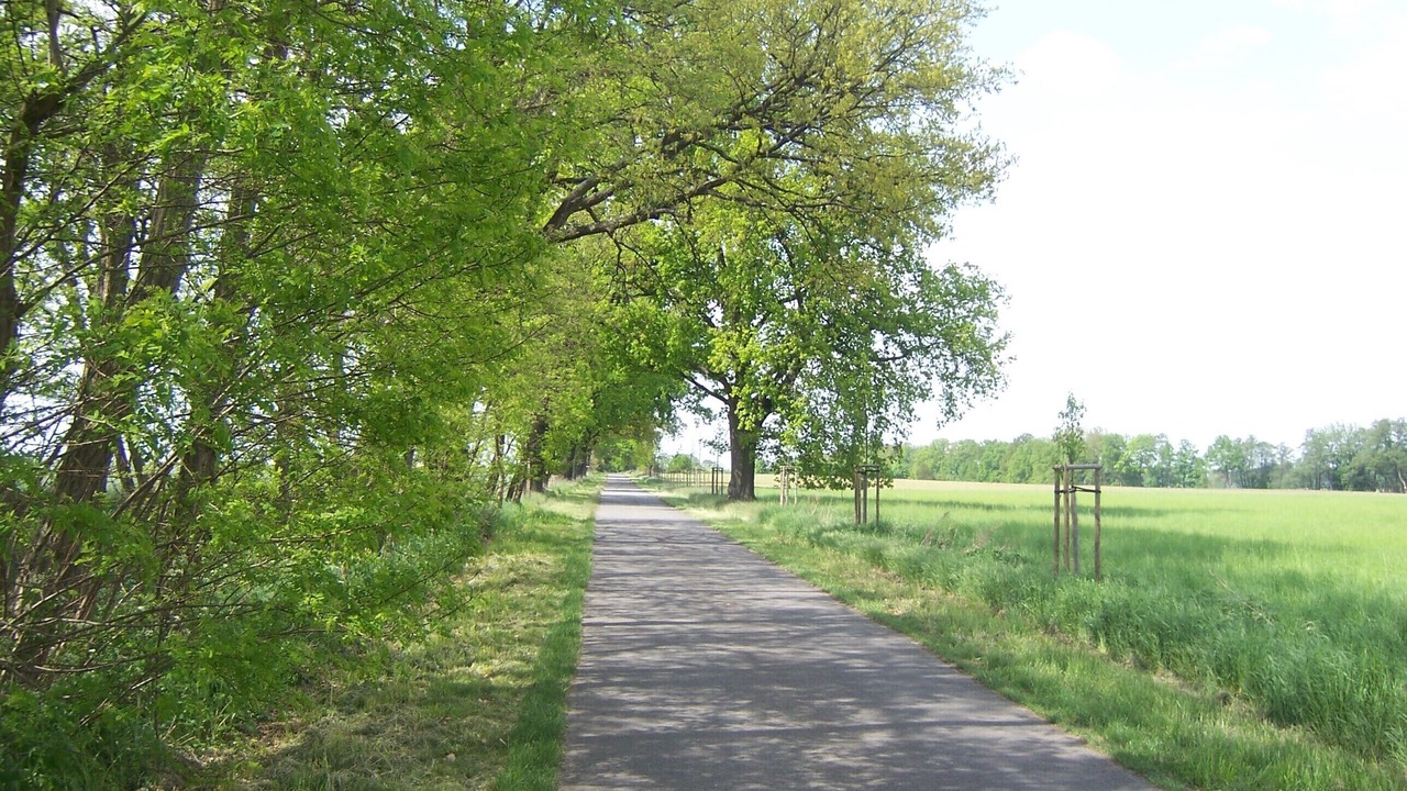 Photo of Outdoor in Wustrau