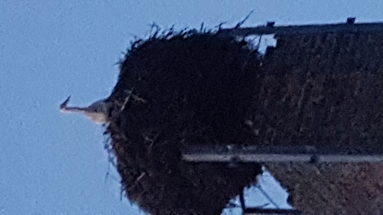 Photo of Outdoor in Wustrau
