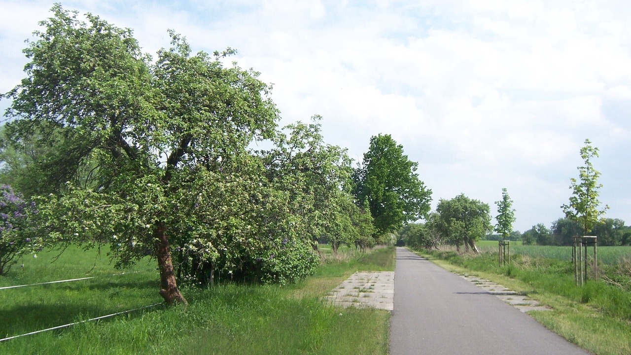 Photo of Outdoor in Wustrau