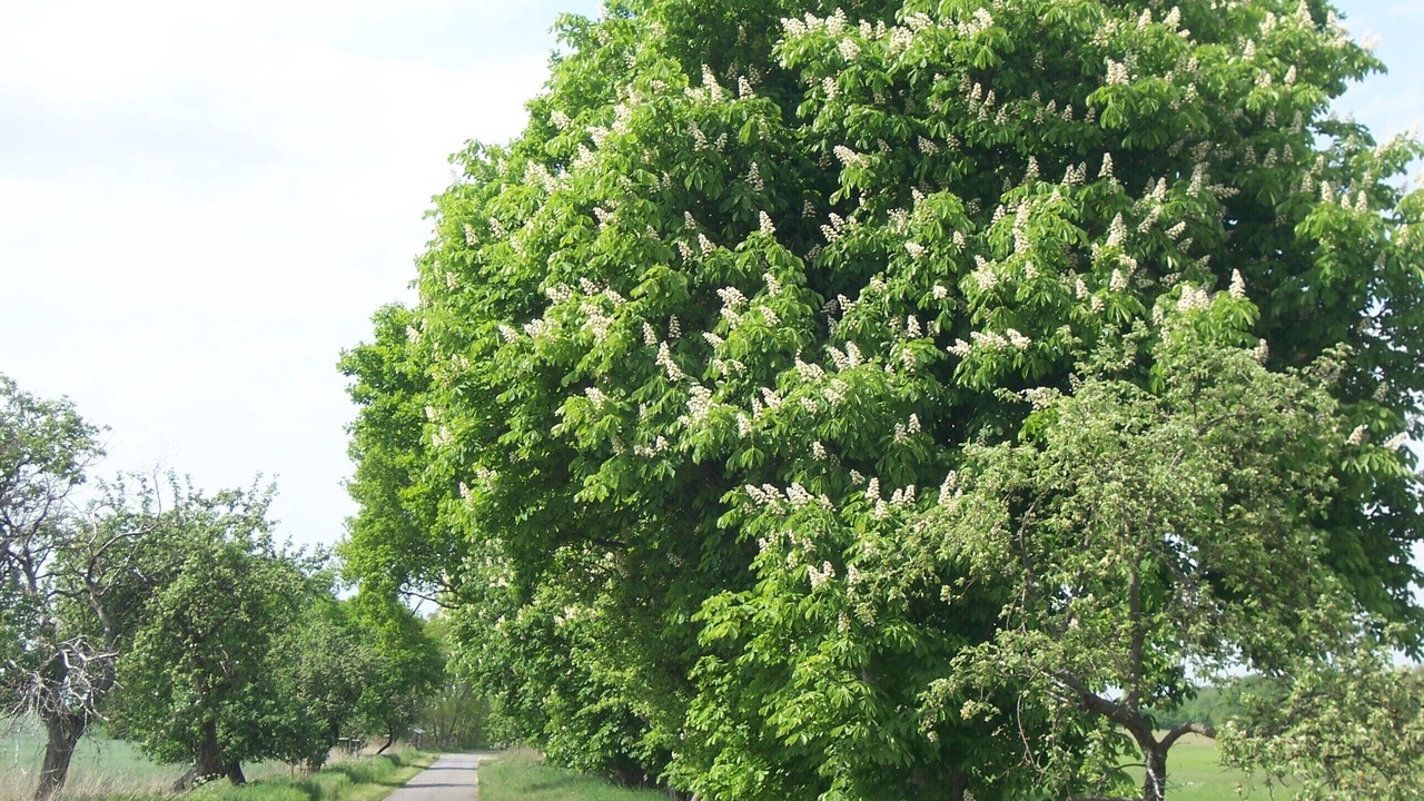 Photo of Outdoor in Wustrau
