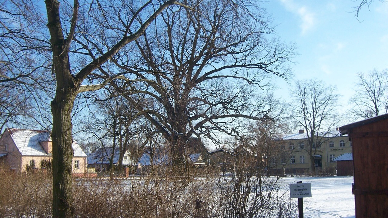 Photo of Outdoor in Wustrau