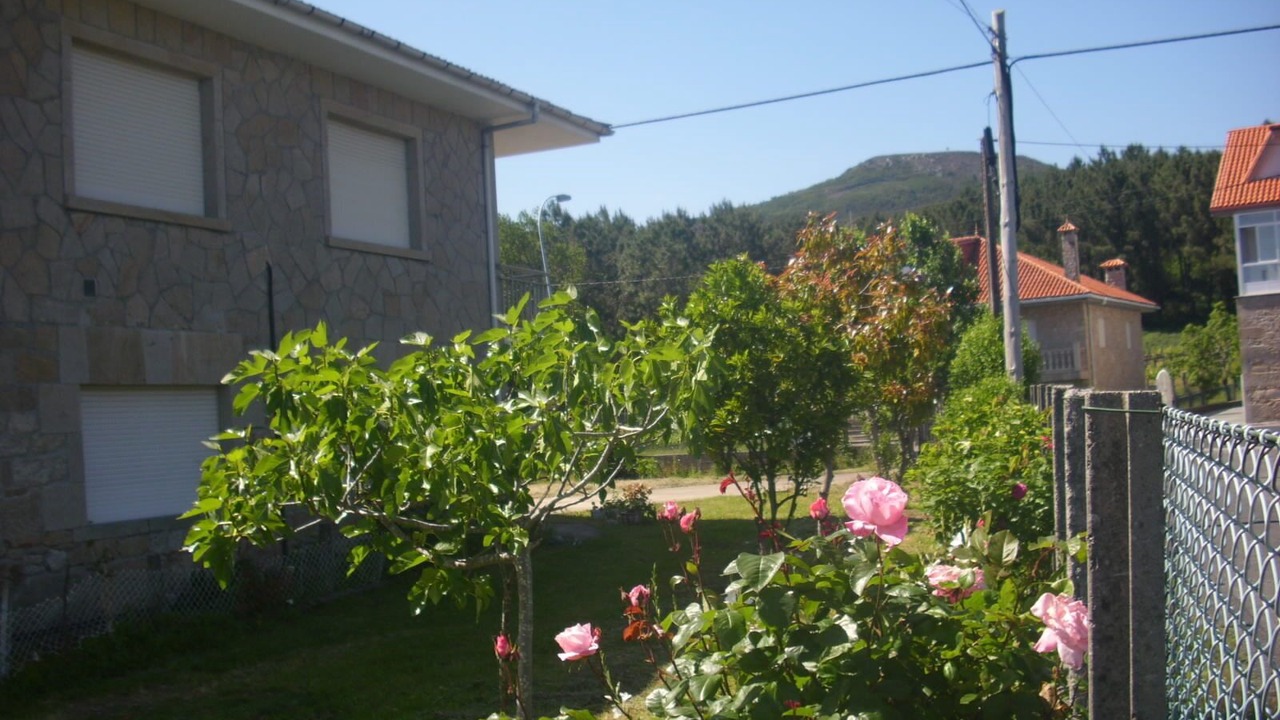 Photo of Outdoor in Rianxo