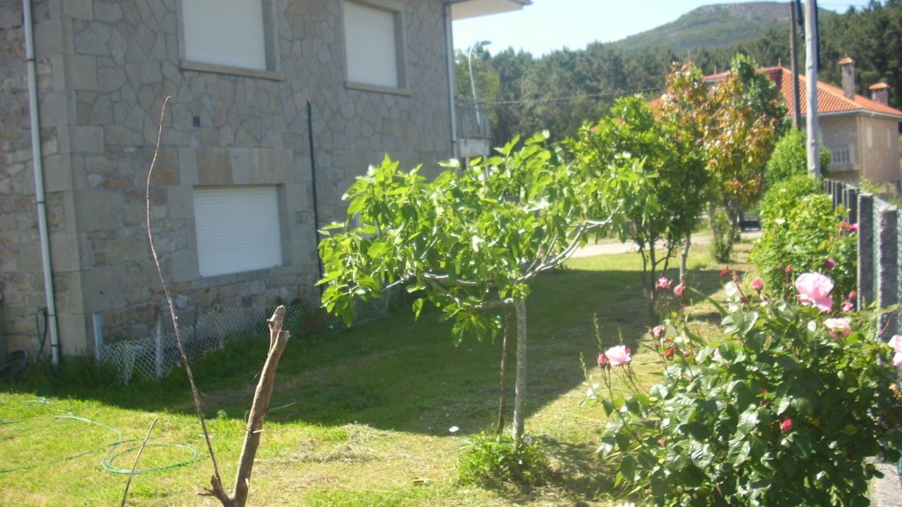 Photo of Outdoor in Rianxo