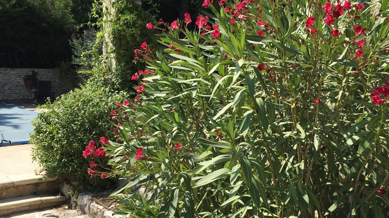 Photo of Outdoor in Les Angles