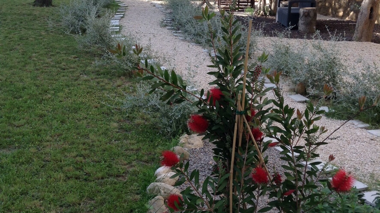 Photo of Outdoor in Saint-Laurent-de-la-Cabrerisse